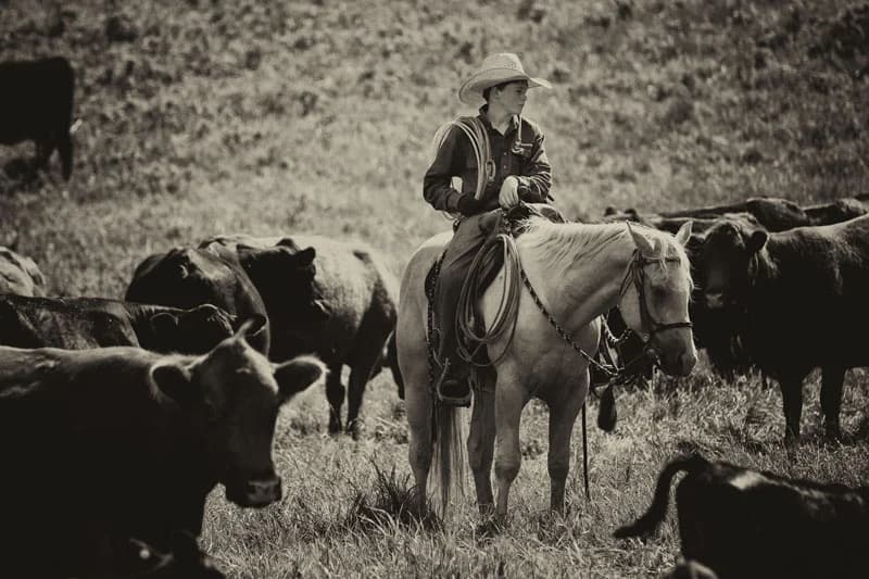 western20