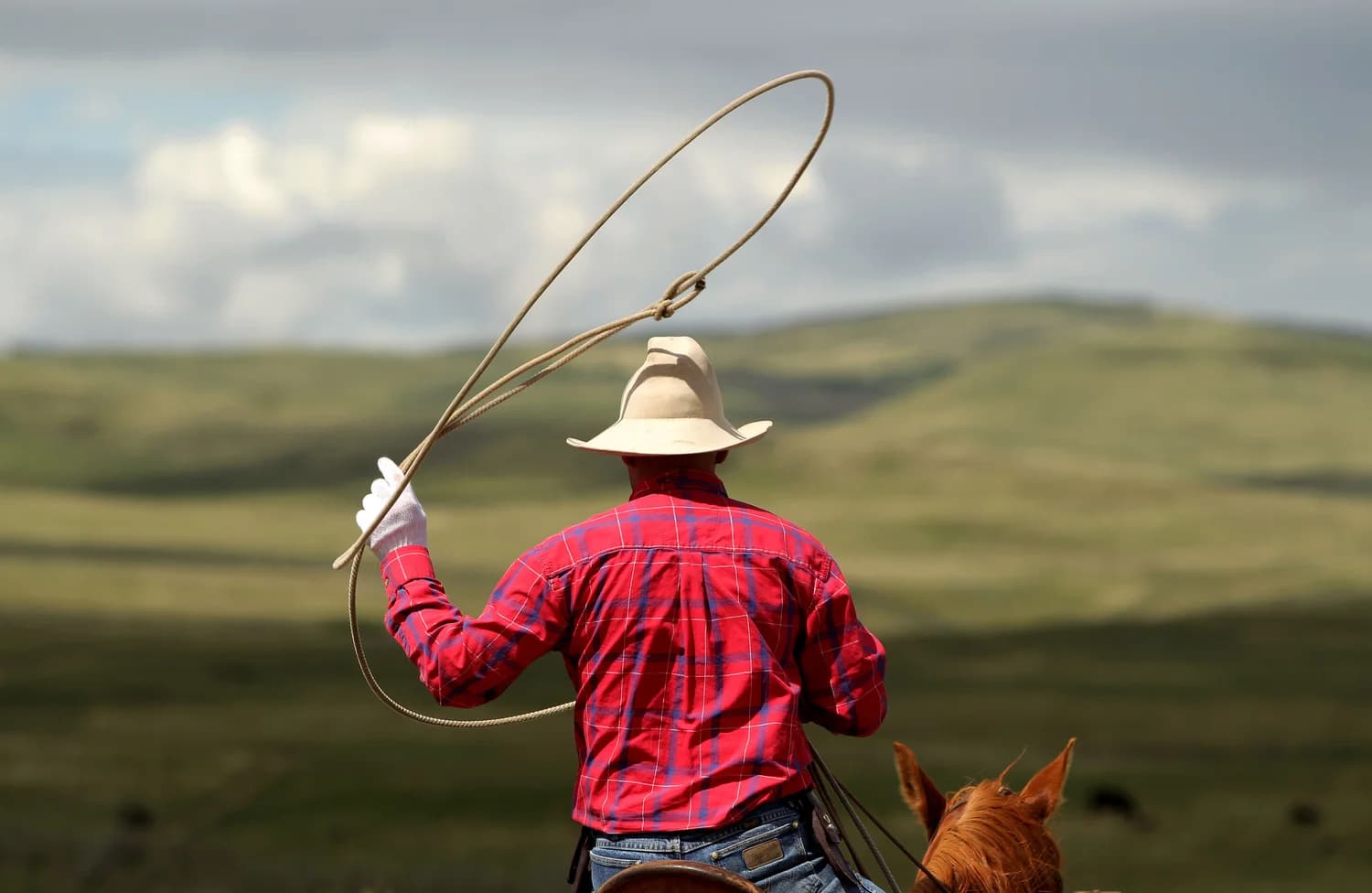 cowboy2